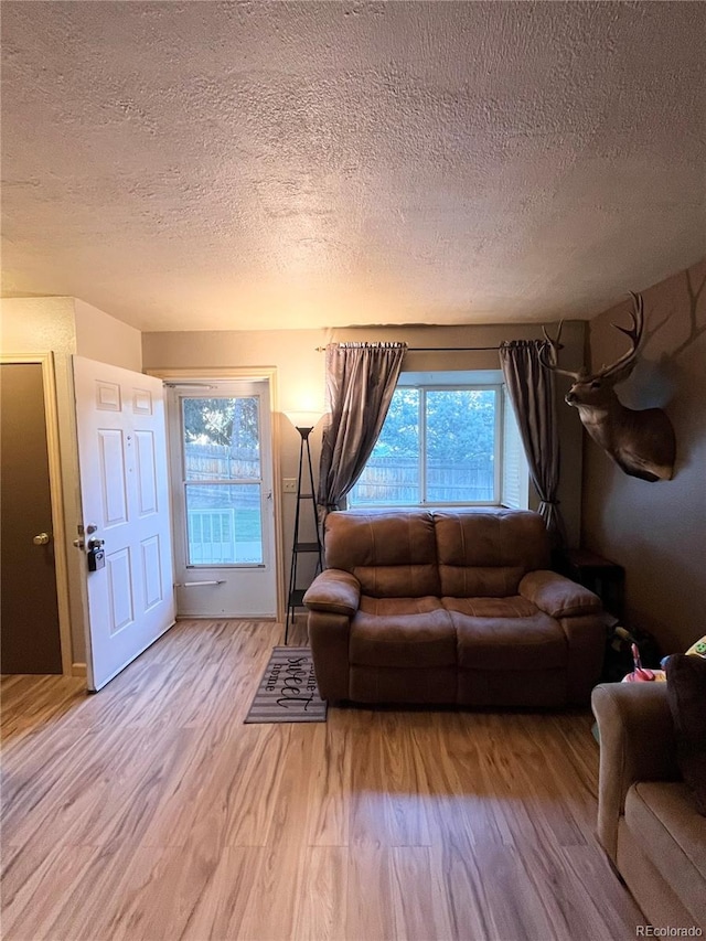 living room with light hardwood / wood-style floors and a textured ceiling