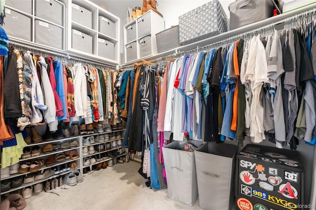 spacious closet featuring light colored carpet