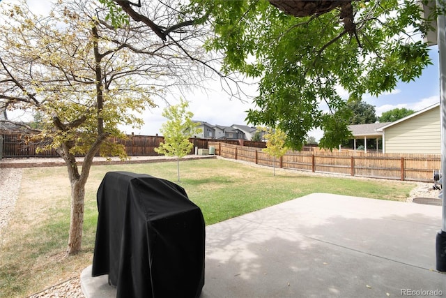 view of yard featuring a patio area