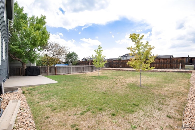 view of yard featuring a patio area