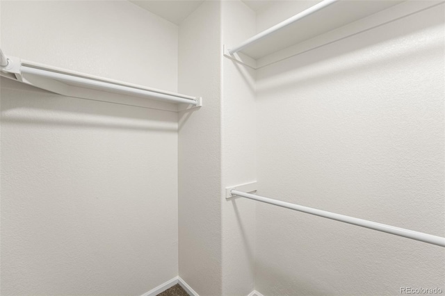 7600 W Coal Mine Ave Unit B, Littleton, CO 80123 - view of walk in closet