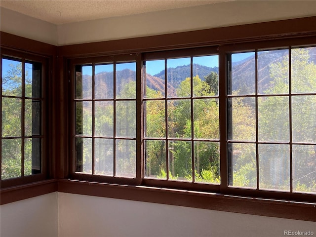 136 Cave Ave, Manitou Springs, CO 80829 - detailed view of a textured ceiling