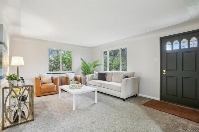 living room with carpet and baseboards