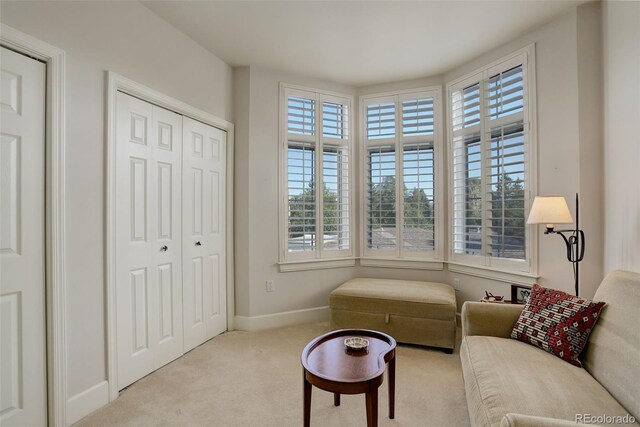 sitting room featuring light carpet and a wealth of natural light