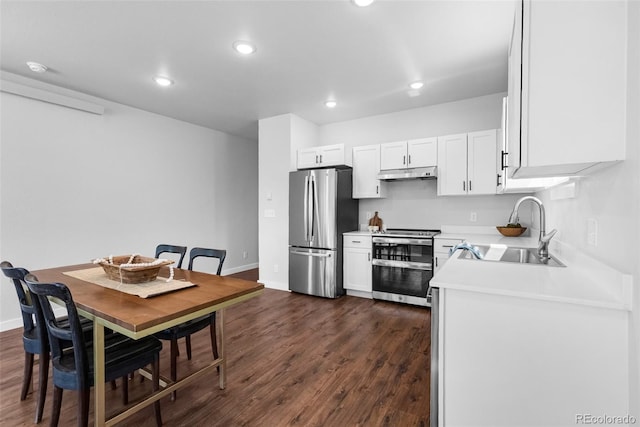 585 N Railroad St, Buena Vista, CO 81211 - kitchen featuring appliances with stainless steel finishes, under cabinet range hood, light countertops, white cabinets, and recessed lighting