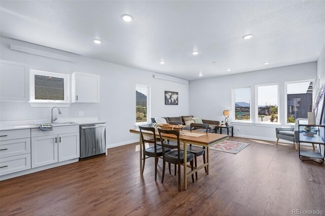 585 N Railroad St, Buena Vista, CO 81211 - dining room with dark wood-type flooring and recessed lighting