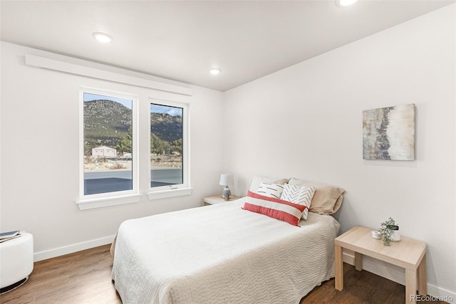 585 N Railroad St, Buena Vista, CO 81211 - bedroom with wood finished floors and recessed lighting
