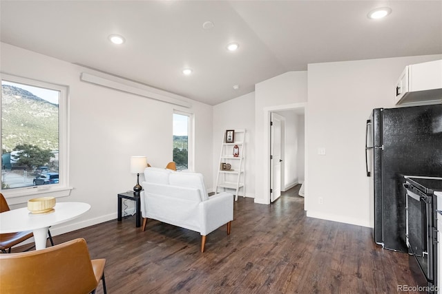 585 N Railroad St, Buena Vista, CO 81211 - living room featuring vaulted ceiling, dark wood finished floors, and recessed lighting