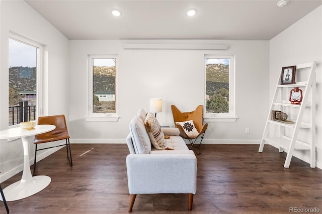 585 N Railroad St, Buena Vista, CO 81211 - sitting room featuring dark wood-style floors and recessed lighting