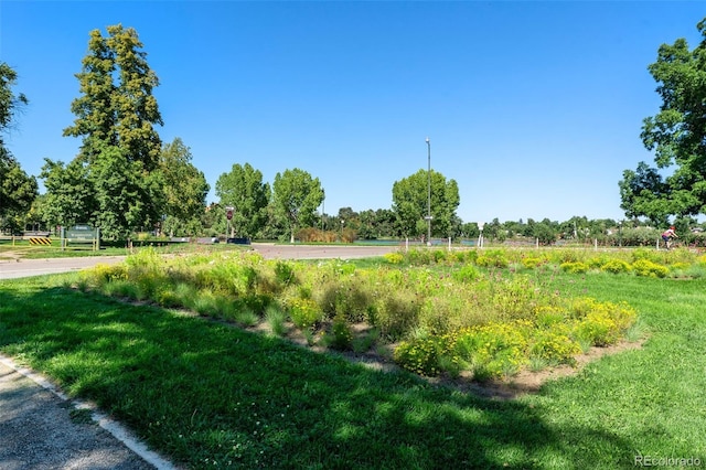 view of home's community with a rural view and a lawn