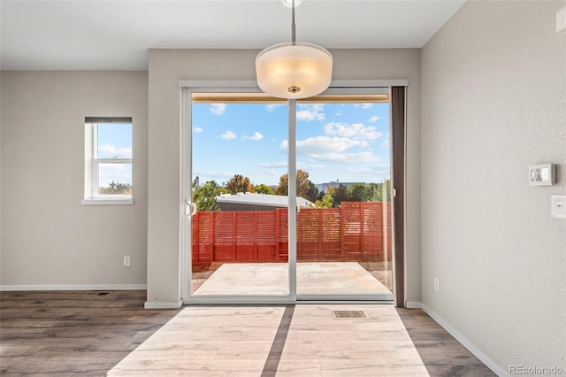 interior space featuring hardwood / wood-style flooring and plenty of natural light