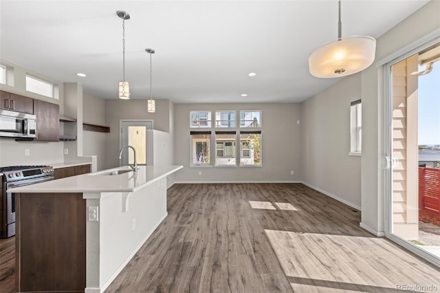 kitchen with light hardwood / wood-style floors, dark brown cabinetry, stainless steel appliances, an island with sink, and a kitchen bar