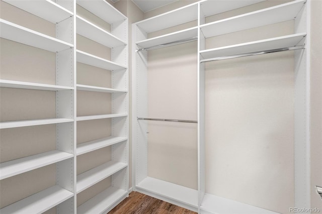 walk in closet featuring dark hardwood / wood-style flooring