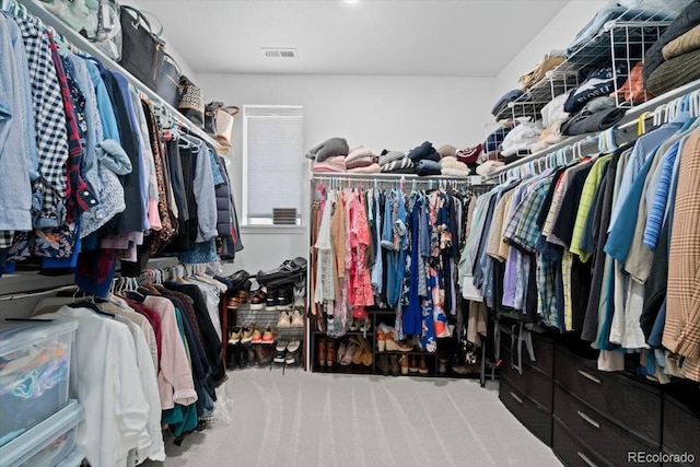 14601 Hudson St, Thornton, CO 80602 - spacious closet featuring carpet floors