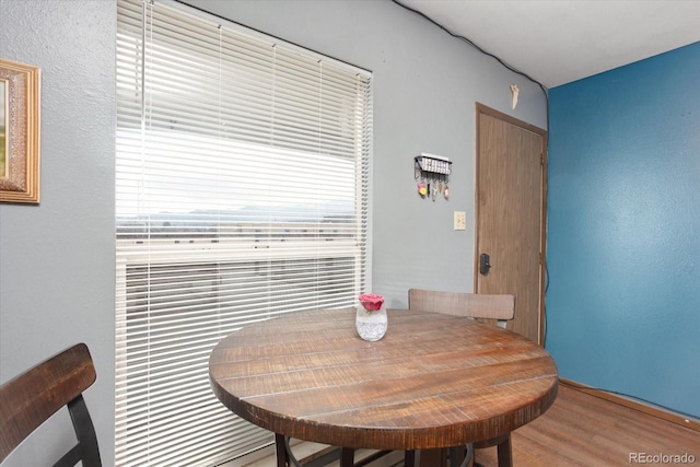 dining room featuring wood-type flooring