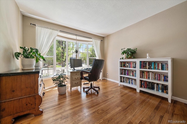 10610 Winterflower Way, Parker, CO 80134 - office space with baseboards, wood finished floors, and a textured ceiling