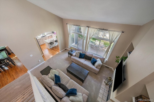 10610 Winterflower Way, Parker, CO 80134 - carpeted living area featuring baseboards and wood finished floors