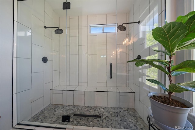 10610 Winterflower Way, Parker, CO 80134 - full bathroom with a stall shower