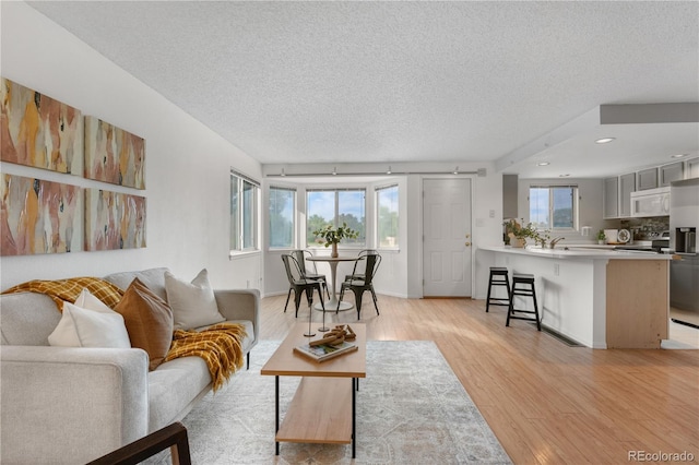 1741 W 131st Ct, Denver, CO 80234 - living room with a textured ceiling, light wood-style flooring, and recessed lighting