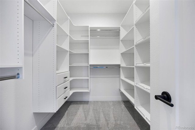 1751 Harlan St Unit 1, Denver, CO 80214 - photo 28