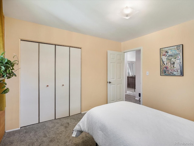 6869 Quay St, Arvada, CO 80003 - bedroom featuring carpet flooring and a closet