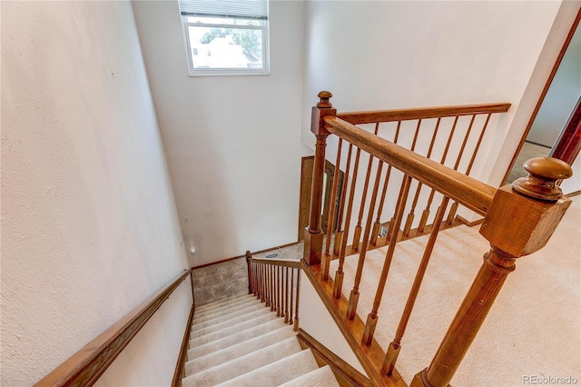 5468 E Briarwood Cir, Centennial, CO 80122 - photo 26