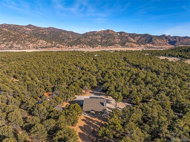 830 High Peaks Ranch Rd, Coaldale, CO 81222 - view of mountain backdrop featuring a heavily wooded area