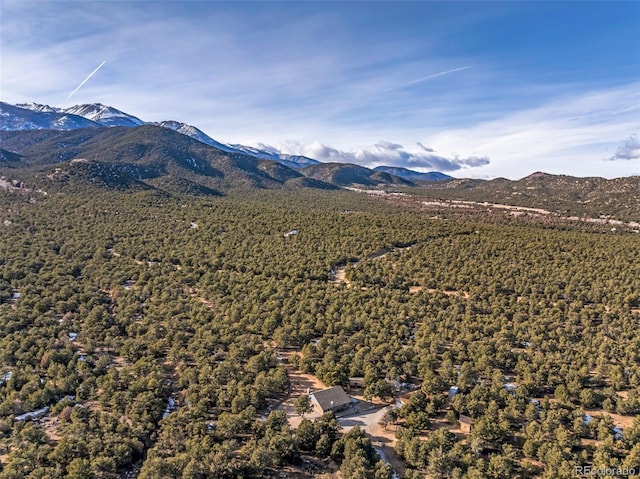 830 High Peaks Ranch Rd, Coaldale, CO 81222 - view of mountain background with a forest