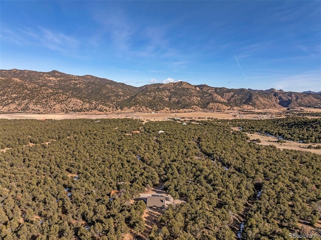 830 High Peaks Ranch Rd, Coaldale, CO 81222 - mountain view