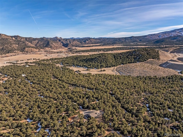 830 High Peaks Ranch Rd, Coaldale, CO 81222 - view of mountain background