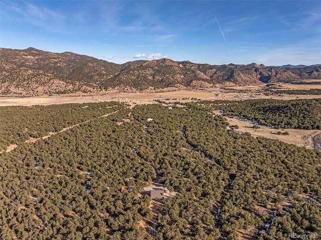 830 High Peaks Ranch Rd, Coaldale, CO 81222 - view of mountain backdrop