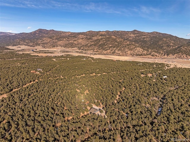830 High Peaks Ranch Rd, Coaldale, CO 81222 - view of mountain background