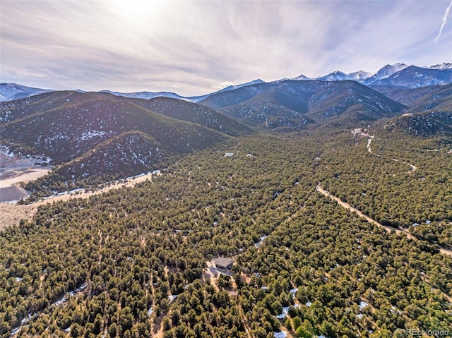 830 High Peaks Ranch Rd, Coaldale, CO 81222 - view of mountain backdrop