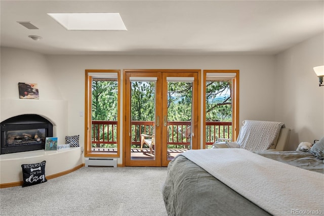 28890 Pinewood Vista Dr, Evergreen, CO 80439 - bedroom featuring a skylight, access to outside, baseboard heating, and multiple windows