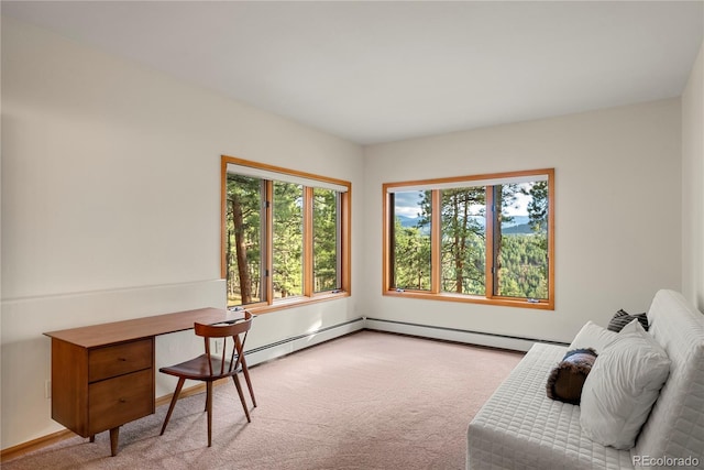 28890 Pinewood Vista Dr, Evergreen, CO 80439 - office featuring a baseboard heating unit and light carpet