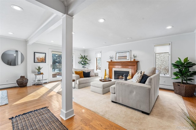 living area with light wood-type flooring, crown molding, a baseboard heating unit, and a wealth of natural light