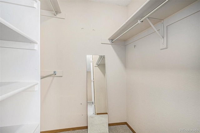 spacious closet featuring carpet