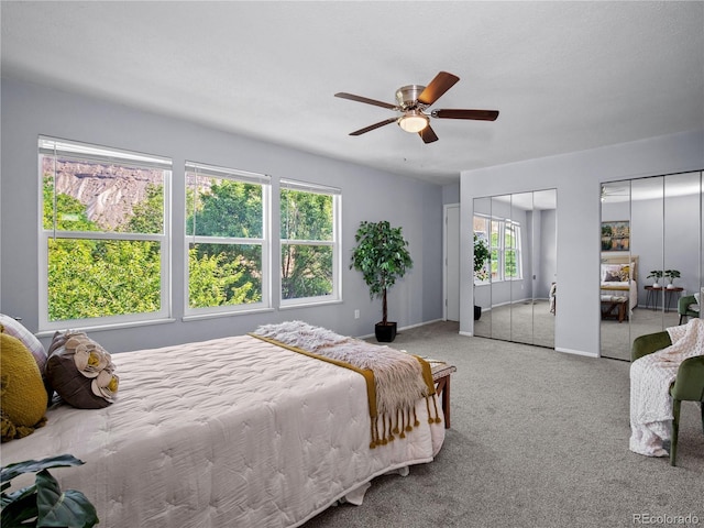 548 Crawford Ln, Palisade, CO 81526