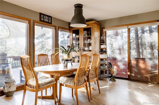 dining area featuring a healthy amount of sunlight and light wood-type flooring