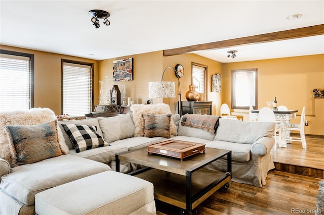 living room with dark hardwood / wood-style flooring