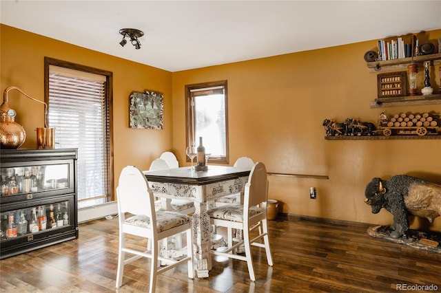 dining room with a wealth of natural light and dark hardwood / wood-style flooring