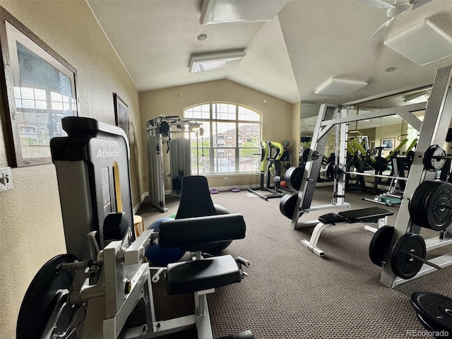 7440 S Blackhawk St Unit 208, Englewood, CO 80112 - exercise room featuring a textured wall, lofted ceiling, carpet, and baseboards