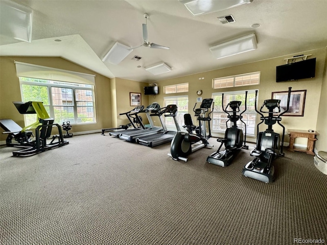7440 S Blackhawk St Unit 208, Englewood, CO 80112 - gym with carpet flooring, baseboards, and lofted ceiling
