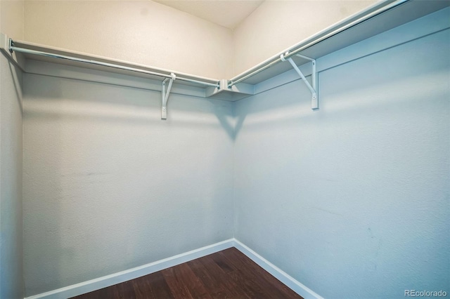 2446 S Gibralter Way, Aurora, CO 80013 - spacious closet with dark wood-style floors