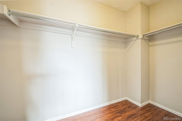 2446 S Gibralter Way, Aurora, CO 80013 - spacious closet with dark wood-type flooring