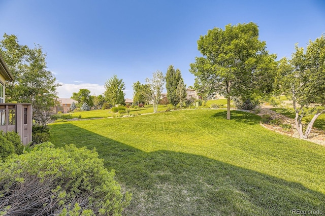 16550 Antero Cir, Broomfield, CO 80023 - view of green lawn