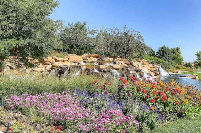 16550 Antero Cir, Broomfield, CO 80023 - view of yard