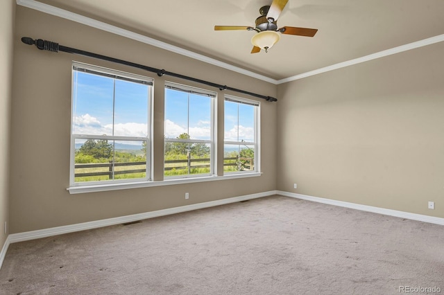 1975 Wild Star Way, Castle Rock, CO 80104 - spare room with baseboards, carpet flooring, and crown molding
