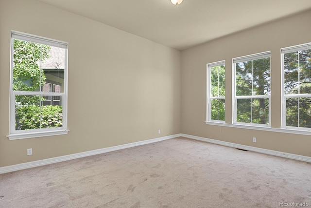 1975 Wild Star Way, Castle Rock, CO 80104 - carpeted empty room featuring healthy amount of natural light and baseboards