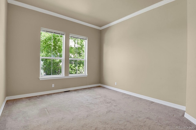 1975 Wild Star Way, Castle Rock, CO 80104 - carpeted empty room featuring baseboards and crown molding